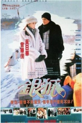 银狐 银狐