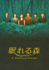 沉睡的森林 沉睡的森林