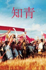知青2012 知青2012