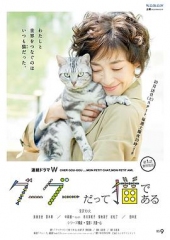 咕咕是一只猫 咕咕是一只猫