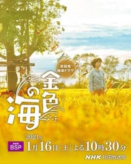 金色之海 金色之海