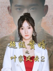 超级赘婿之叶家风云2 超级赘婿之叶家风云2