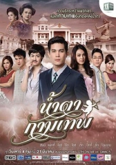 丘比特的眼泪 丘比特的眼泪