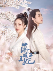 落难王妃2 落难王妃2