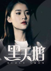 黑天鹅 黑天鹅