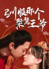 驯服那个桀骜王爷 驯服那个桀骜王爷