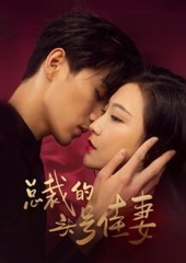 总裁的头号佳妻 总裁的头号佳妻