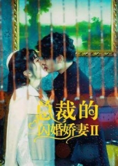 总裁的闪婚娇妻2 总裁的闪婚娇妻2