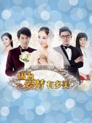 因为爱情有多美DVD 因为爱情有多美DVD