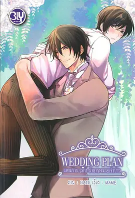 婚礼计划 婚礼计划
