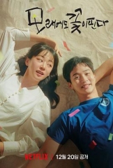 沙之花也有春天 沙之花也有春天