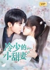 冷少的小甜妻 冷少的小甜妻