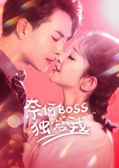 奈何Boss独宠我 奈何Boss独宠我