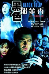 黑色郁金香 黑色郁金香