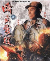 济南战役 济南战役