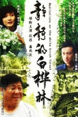 静静的白桦林 静静的白桦林