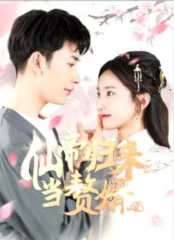 仙帝归来当赘婿 仙帝归来当赘婿