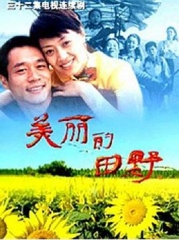 美丽的田野 美丽的田野