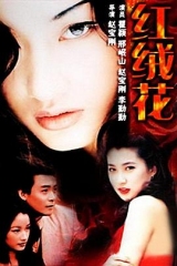 红绒花 红绒花