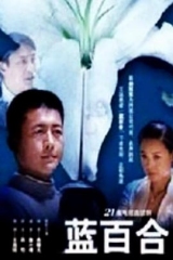 蓝百合 蓝百合