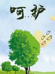 呵护 呵护