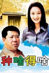 种啥得啥 种啥得啥