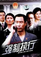 强制执行 强制执行