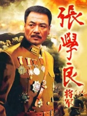 张学良将军 张学良将军