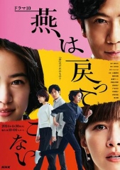燕子不再归来 燕子不再归来