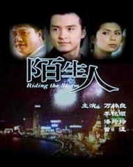 陌生人1999 陌生人1999