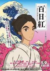 百日红 百日红
