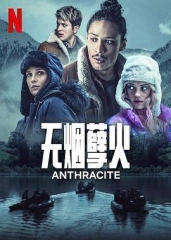 无烟煤 无烟煤