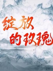 绽放的玫瑰 绽放的玫瑰
