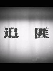 追匪 追匪