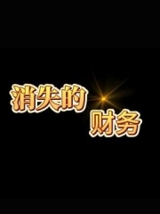 消失的财务 消失的财务