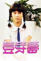 豆芽梦 豆芽梦