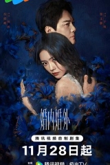 婚内婚外 婚内婚外