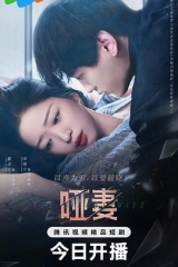 哑妻2024 哑妻2024