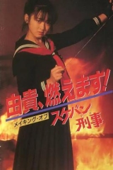 飞女刑事 飞女刑事