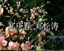 桃色将军 桃色将军