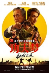 功夫梦:融合之道 功夫梦:融合之道