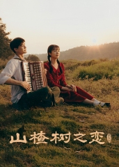山楂树之恋 山楂树之恋