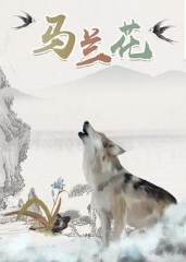 马兰花2006 马兰花2006