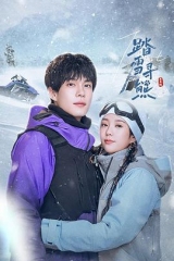 踏雪寻熊 踏雪寻熊