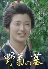野菊之墓 野菊之墓
