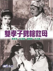 双孝子劈棺救母粤语 双孝子劈棺救母粤语