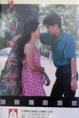 失火的天堂1985 失火的天堂1985