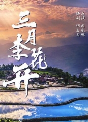 三月李花开 三月李花开