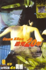 追凶20年国语 追凶20年国语