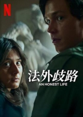 诚实的生活 诚实的生活